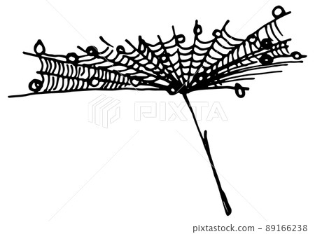 Hand drawn dandelion fluffy umbrella seed covered with cobweb with dew drops wafting on the breeze 89166238