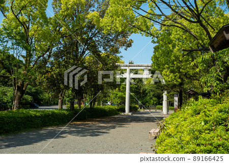 大分護國神社 89166425