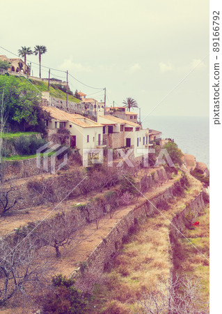 Coast of Majorca with wine fields and the sea 89166792