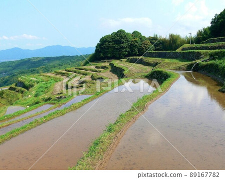 Rice terraces preparing for rice planting, Uchinari, Beppu city 89167782