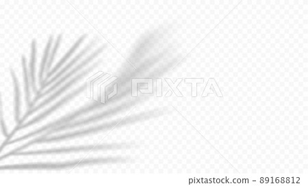 Shadow palm leaf overlay for mockup template product flat lay 89168812
