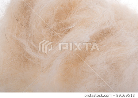 wool isolated 89169518