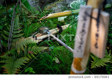 橫園水金地、妙心寺台藏院的鮮綠色 89170061