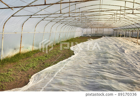 Greenhouse organic vegetable plantation covered with agrotextile. Greenhouse organic vegetable plantation covered with agrotextile. 89170336