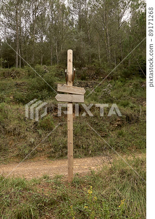 Wooden post with signposts in the forest 89171268