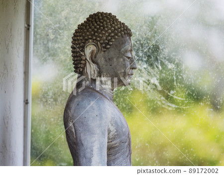 Buddhas statue 89172002