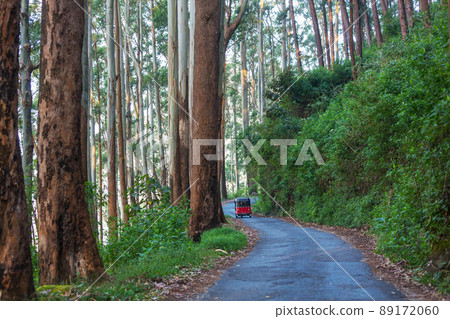 Road on Sri Lanka 89172060