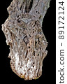 An olive trunk with bark covered with natural lines that form an unusual complex pattern that is both beautiful and ugly 89172124