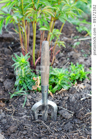 Old garden fork on the ground Old garden fork on the ground 89172382