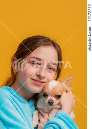 Teen girl with a dog of the Chihuahua breed on a yellow background. Girl and white dog. Teen girl with a dog of the Chihuahua breed on a yellow background. Girl and white dog. 89172789