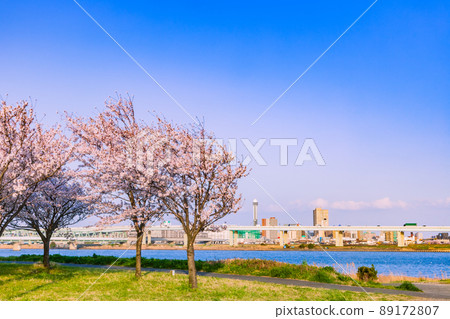 Komatsugawa Senbon Sakura Tokyo Spring Scenery 89172807