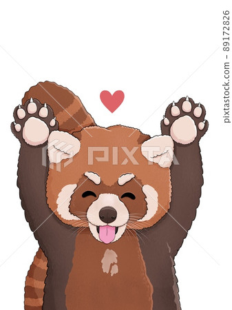 Cute little red panda with red heart Cute little red panda with red heart 89172826