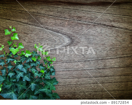 Wood grain material and green Wood grain material and green 89172854