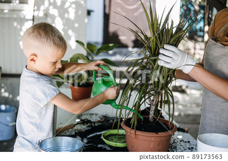 Spring Houseplant Care, repotting houseplants. Happy little kid boy planting Houseplants In Pots, drainage layer for Houseplants in backyard, garden. 89173563