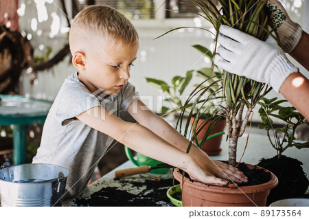 Spring Houseplant Care, repotting houseplants. Happy little kid boy planting Houseplants In Pots, drainage layer for Houseplants in backyard, garden. 89173564