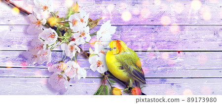 Great tit sitting on a tree branch in spring weather Great tit sitting on a tree branch in spring weather 89173980