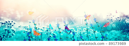 Beautiful nature view of butterfly on blurred background in garden. 89173989