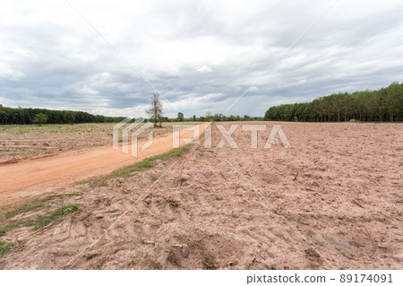 Empty dry cracked swamp reclamation soil, land plot for housing construction project with car tire print in rural area and beautiful blue sky with fresh air Land for sales landscape concept Empty dry cracked swamp reclamation soil, land plot for housing construction project with car tire print in rural area and beautiful blue sky with fresh air Land for sales landscape concept 89174091