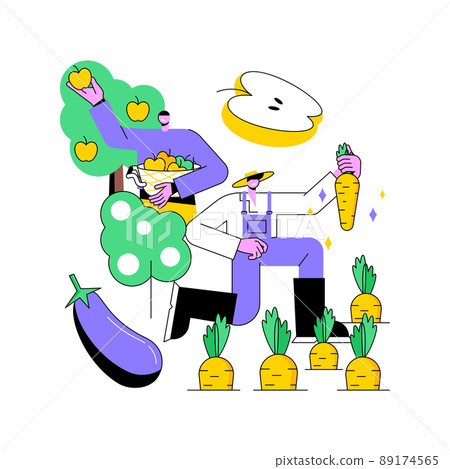 Harvesting abstract concept vector illustration. Collecting crops and vegetables, crop rotation, sustainable gardening, growing season, gestation period, homegrown food abstract metaphor. Harvesting abstract concept vector illustration. Collecting crops and vegetables, crop rotation, sustainable gardening, growing season, gestation period, homegrown food abstract metaphor. 89174565