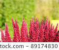 Pink plant on green background 89174830