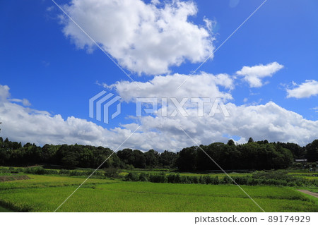 藍天白雲田園風光 89174929