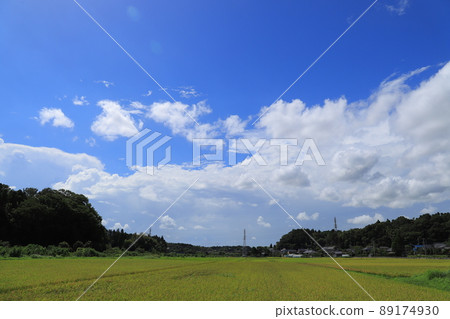 藍天白雲田園風光 89174930