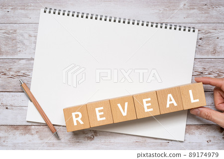 Building blocks, notebooks, pens, hands with "REVEAL" written on them 89174979