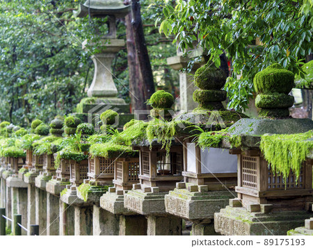 苔蘚神社的石燈籠 89175193