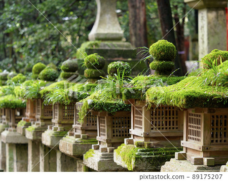 Stone lanterns at a shrine with moss 89175207