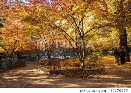 東京都千代田區清水穀公園秋葉紀尾井町 89176375