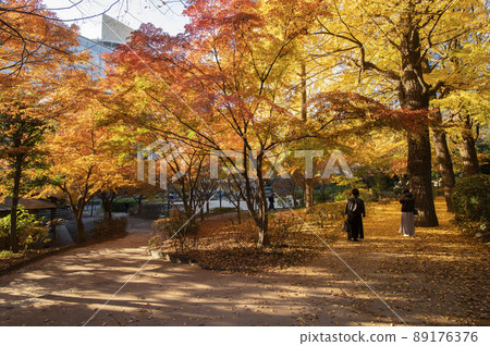 東京都千代田區清水穀公園秋葉紀尾井町 東京都千代田區清水穀公園秋葉紀尾井町 89176376
