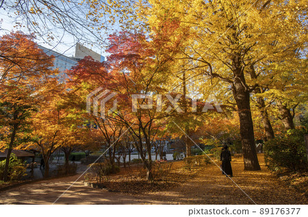 東京都千代田區清水穀公園秋葉紀尾井町 東京都千代田區清水穀公園秋葉紀尾井町 89176377