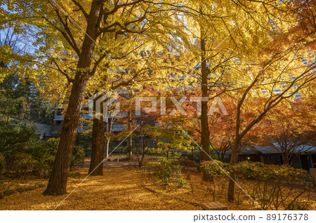 東京都千代田區清水穀公園秋葉紀尾井町 89176378