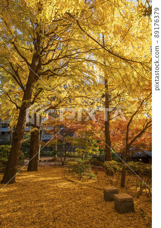 東京都千代田區清水穀公園秋葉紀尾井町 東京都千代田區清水穀公園秋葉紀尾井町 89176379