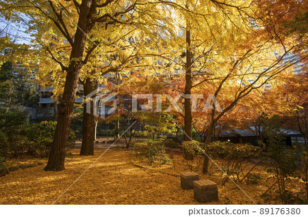 東京都千代田區清水穀公園秋葉紀尾井町 東京都千代田區清水穀公園秋葉紀尾井町 89176380