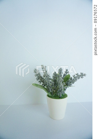 Healing, a good night's sleep, relaxing white background with lavender fake green 89176572