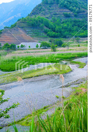 View of the upstream from the vicinity of the Ashio Sabo dam, natural regeneration, early summer scenery 89176771
