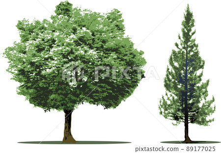樹樹集 89177025