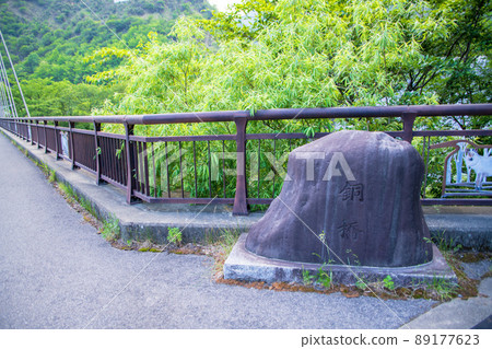 銅橋赤金水上樂園初夏風光 89177623