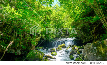 Tateshina Otaki (Summer) Tateshina Otaki (Summer) 89178212