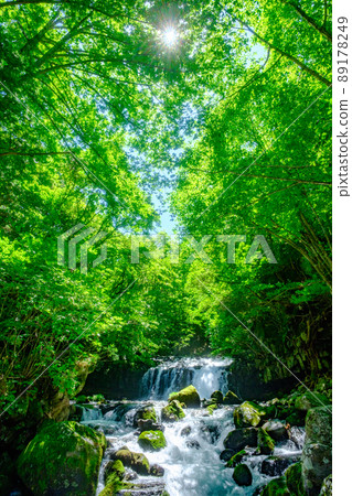 大瀧立科(夏季) 大瀧立科(夏季) 89178249
