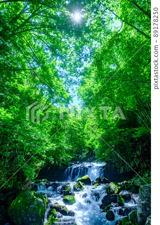 大瀧立科(夏季) 大瀧立科(夏季) 89178250