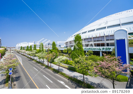 Vantelin Dome Nagoya(名古屋巨蛋)和山茱萸 Vantelin Dome Nagoya(名古屋巨蛋)和山茱萸 89178269