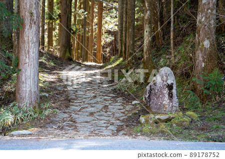 [長野縣]中山道 89178752