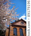 Sapporo Beer Garden and Sakura 89179196