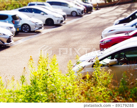 Park parking lot 89179288