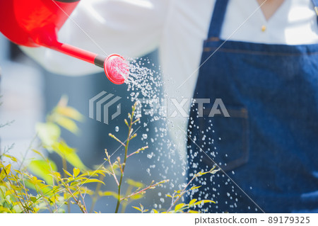 花壇澆水 89179325