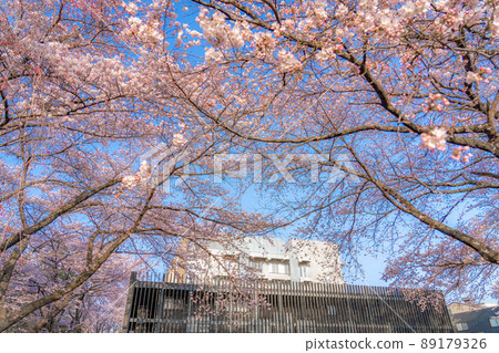 東北大學片平校區教育研究基地支援大樓佐倉（宮城縣仙台市） 89179326