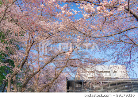 Tohoku University Katahira Campus Education and Research Base Support Building Sakura (Sendai City, Miyagi Prefecture) 89179330