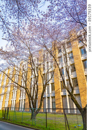 佐倉（宮城縣仙台市）東北大學片平校區電氣通信研究所 89179339
